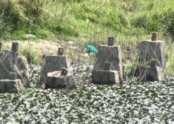 Büyükçekmece’de baraj suyu çekilince Çakmak Hattı beton siperleri ortaya çıktı