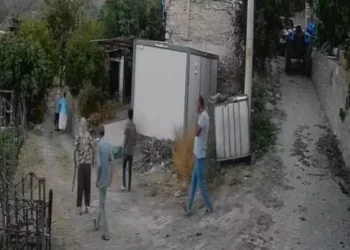 Yaşlı adam, bahçesine sürü girdi diye çobanı tüfekle vurup öldürdü