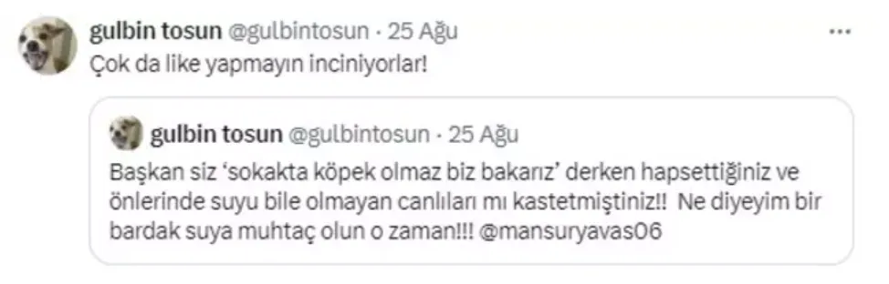 Gülbin Tosun, Mansur Yavaş'la ilgili paylaşımı sonrası zorunlu izne çıkarıldı 3 Gülbin Tosun, Mansur Yavaş'la ilgili paylaşımı sonrası zorunlu izne çıkarıldı