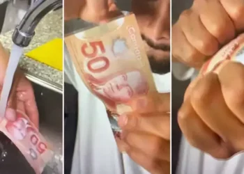 Bu para bükülmüyor, katlanmıyor, ucundan bile yırtılmıyor!