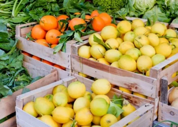 Haziran ayının zam şampiyonu limon oldu