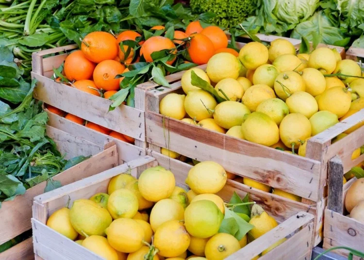 Haziran ayının zam şampiyonu limon oldu