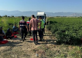 Kamyon şoförü tarlada uyuyan çocuğu ezdi, aile şoförü vurup öldürdü