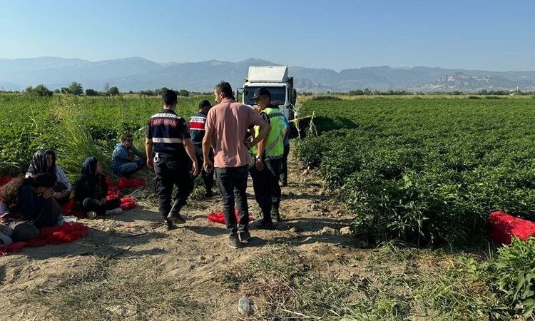 Kamyon şoförü tarlada uyuyan çocuğu ezdi, aile şoförü vurup öldürdü