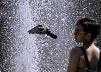 21 Temmuz, dünya genelinde ‘en sıcak gün’ olarak kayıtlara geçti