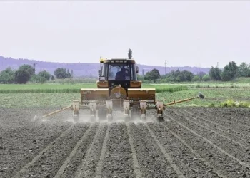 Mazot ve gübre desteği kaldırıldı yerine temel destek ödenecek