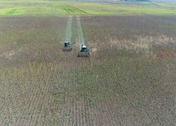 İki yıl üst üste işlenmeyen tarım arazileri kiraya verilecek