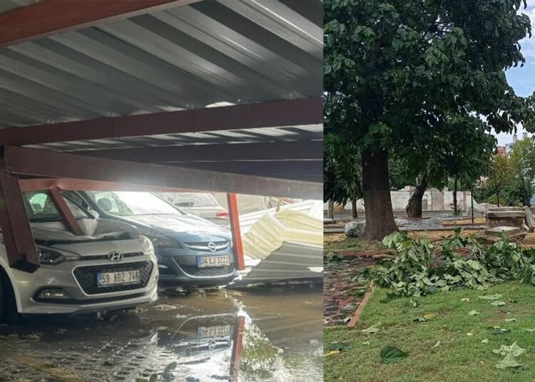 Tekirdağ’da fırtına... Çatılar uçtu, ağaçlar devrildi! 1 Tekirdağ’da fırtına… Çatılar uçtu, ağaçlar devrildi!