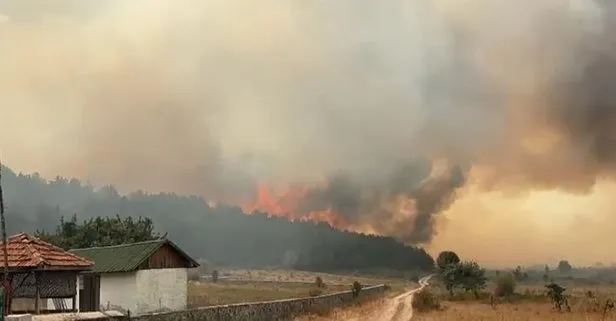 Kızılcahamam ormanlık alanında yangın