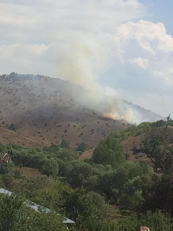 Kızılcahamam ormanlık alanında yangın