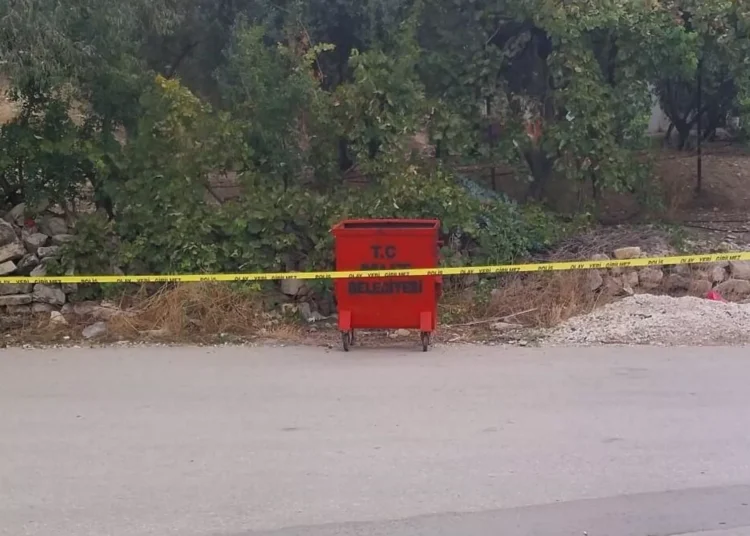 Mersin'de çöpte bulunan bebeği, annesinin attığı ortaya çıktı 1 Mersin’de çöpte bulunan bebeği, annesinin attığı ortaya çıktı