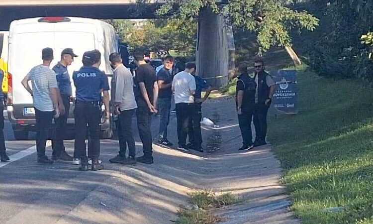 SON DAKİKA! Yol kenarındaki poşette pimi çekilmemiş 2 el bombası bulundu