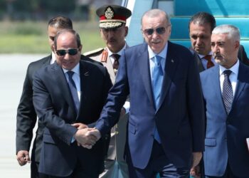 Hüsnü Yusuf Turabiç yazdı I Erdoğan, Sisi’yle görüşmesin mi?