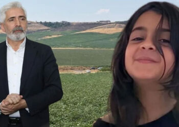 Narin cinayetiyle ilgili açıklamaları gündem olan AK Parti’li Ensarioğlu: Siyaseti bırakmayı düşünüyorum