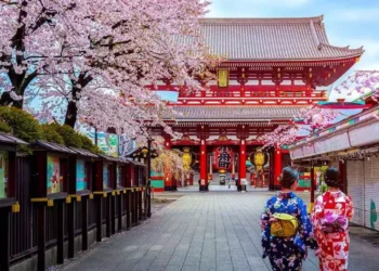 Japonya da Türklere ‘kapıda vize’yi kapatıyor