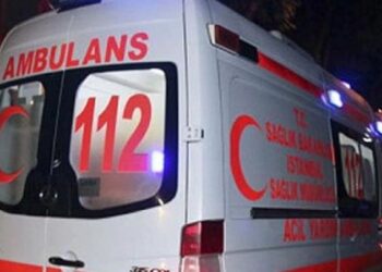 Mardin’de bal yerken dilini arı sokan kişi hayatını kaybetti