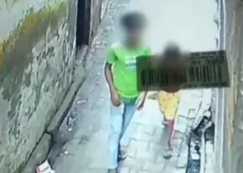 Maymunlar, 6 yaşındaki kız çocuğunu cinsel istismardan kurtardı