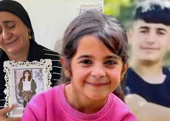 “Narin’in amcasının aracında ağabeyi Enes de var mıydı, diğer iki genç nerede?”