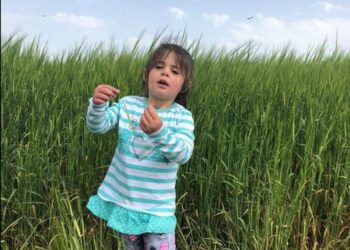 Halis Gül yazdı l Narin – Leyla – Müslüme…