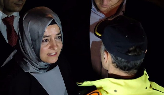 Fatma Sayan’ın kardeşi, ikinci kez büyükelçi yapıldı