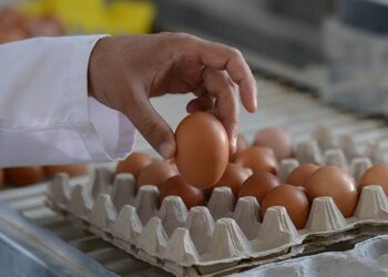 Yumurtada ‘son tüketim tarihi’ kalkıyor