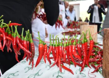 3 kilo acı biber 1 milyon liraya satıldı