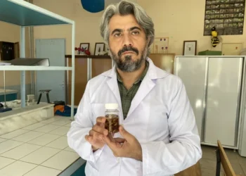 Türk profesör, keşfettiği akrep türüne eşinin ismini verdi