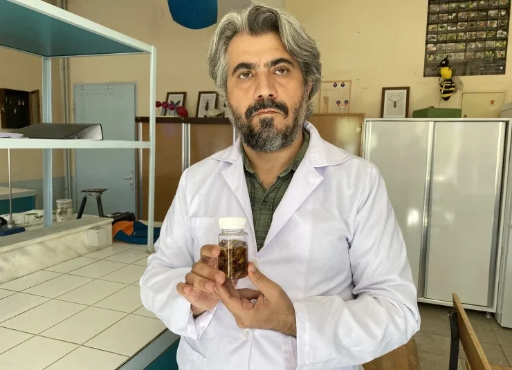 Türk profesör, keşfettiği akrep türüne eşinin ismini verdi 1 Türk profesör, keşfettiği akrep türüne eşinin ismini verdi