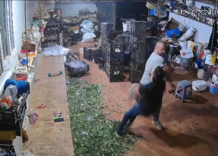 Tek yumrukla komalık etmişti: Çiçekçiden acı haber geldi 1 Tek yumrukla komalık etmişti: Çiçekçiden acı haber geldi