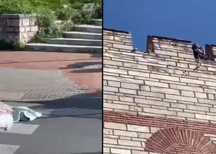 İstanbul'da vahşet: Yarım saat arayla iki kadını öldürüp intihar etti 1 İstanbul’da vahşet: Yarım saat arayla iki kadını öldürüp intihar etti