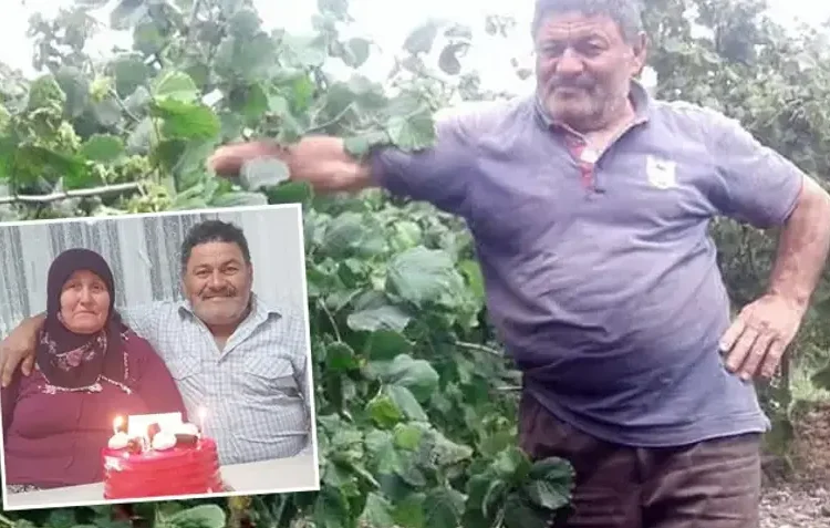 Yaban domuzu fındık bahçesinde çalışan evli çifte saldırdı! Kocanın durumu ağır