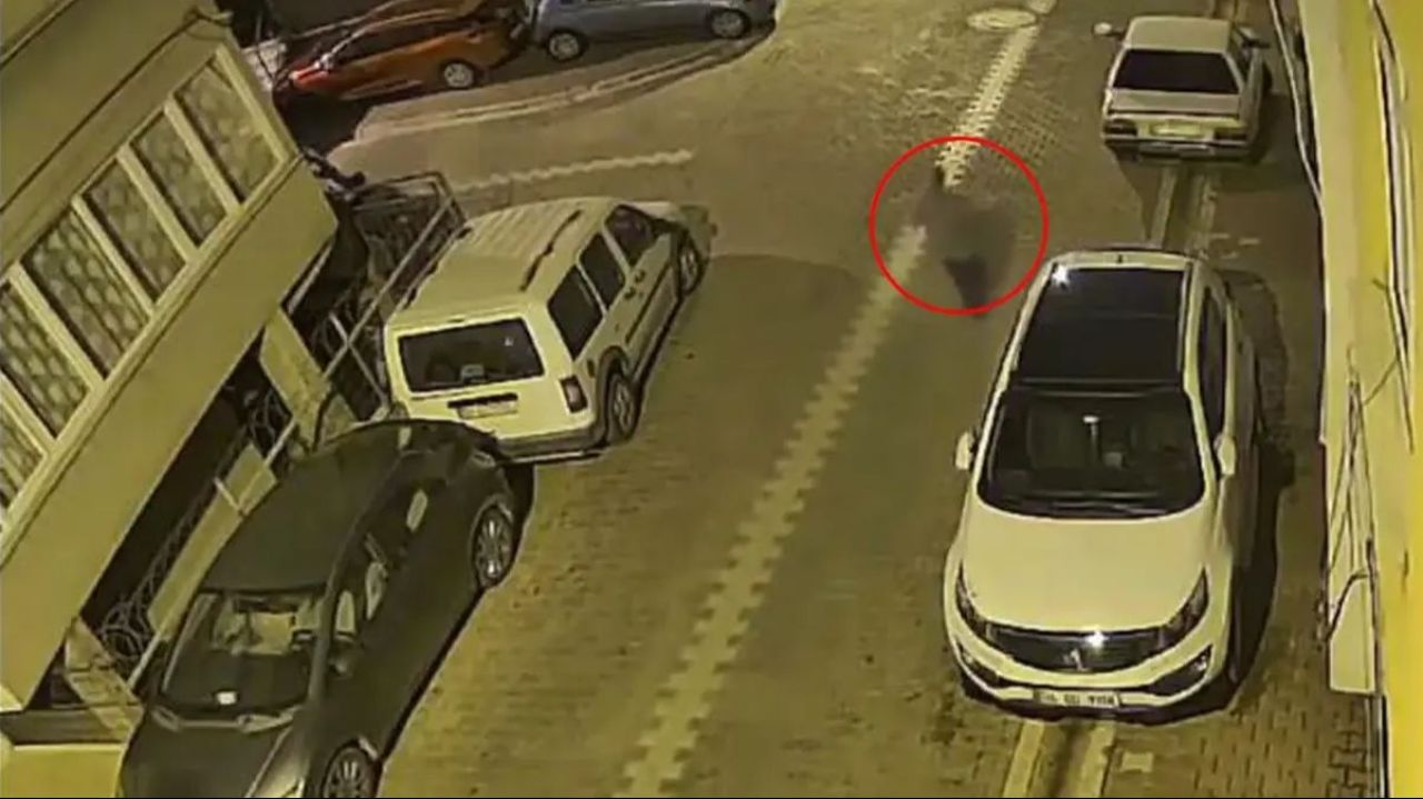 Sokak ortasında hamile kadına taciz: Şüpheli gözaltında