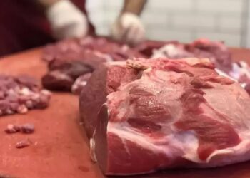 At, eşek ve domuz eti ithalatı için yüzde 100 gümrük indirimi