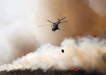 İhaleyi alan şirket ödeme yapmayınca pilotlar havalanmadı; ormanlar kül oldu
