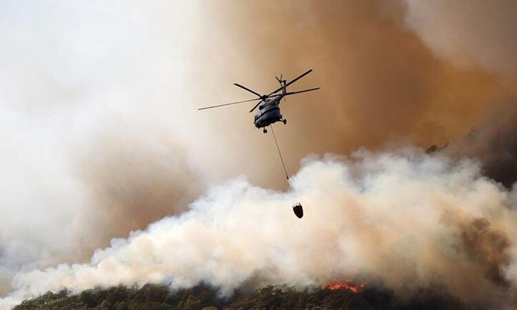 İhaleyi alan şirket ödeme yapmayınca pilotlar havalanmadı; ormanlar kül oldu