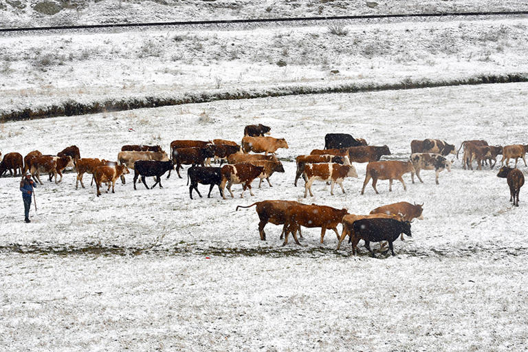 Kars'a mevsimin ilk karı düştü 5 Kars'a mevsimin ilk karı düştü
