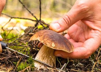 Mantara dikkat! Zehirlenen 7 kişi tedavi altına alındı