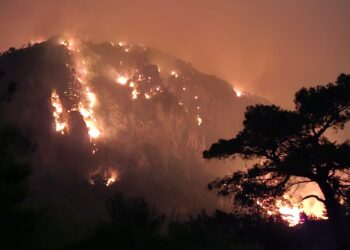 Muğla yanıyor! Kavaklıdere, Köyceğiz, Ortaca, Dalaman, Menteşe…