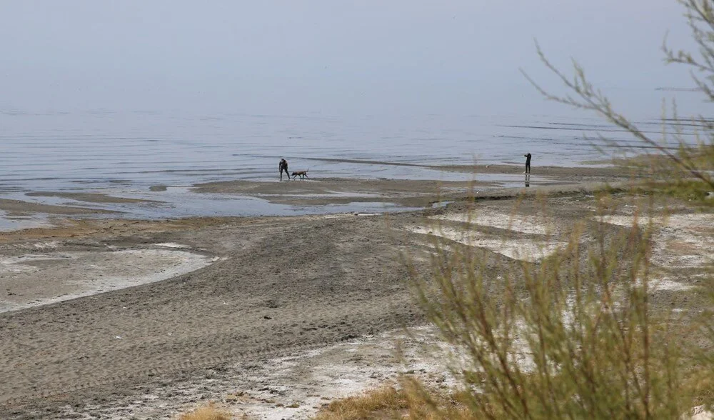 Kayıp Rojin’i arama çalışmasında dün başörtüsü bulunmuştu, bugün kıyafet 4 Kayıp Rojin’i arama çalışmasında dün başörtüsü bulunmuştu, bugün kıyafet