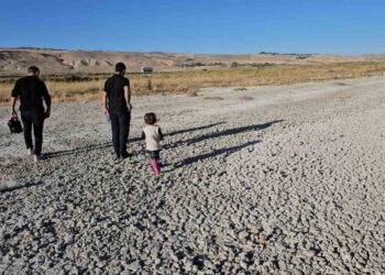 Su seviyesi azalan Van Gölü’nde korkutan görüntü