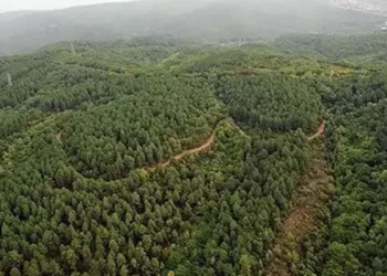 Belgrad Ormanı da elden gidiyor! 1150 hektarlık bölümün statüsü düşürülerek imara açılıyor