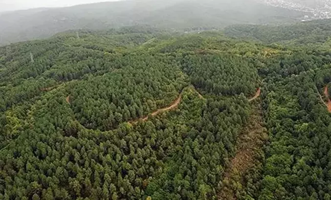 Belgrad Ormanı da elden gidiyor! 1150 hektarlık bölümün statüsü düşürülerek imara açılıyor 1 Belgrad Ormanı da elden gidiyor! 1150 hektarlık bölümün statüsü düşürülerek imara açılıyor