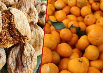 Almanya, Türkiye’den ihraç edilen kuru incir ve mandalinaları ‘zehirli’ olduğu için geri gönderdi