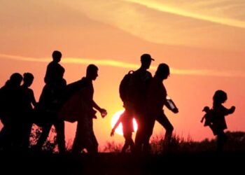 Suriyeli, Afgan Türkiye’ye, Türkler Almanya’ya! Ekimde 2 bin 726, son 10 ayda 27 bin 500 Türk iltica istedi