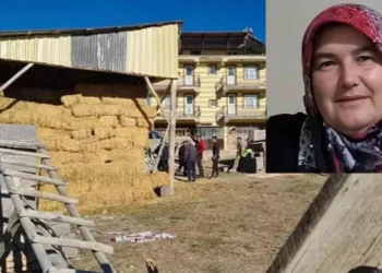 Kayıp kadının cesedi samanlıkta bulundu! 18 gündür aranıyordu, 12 saat önce ölmüş
