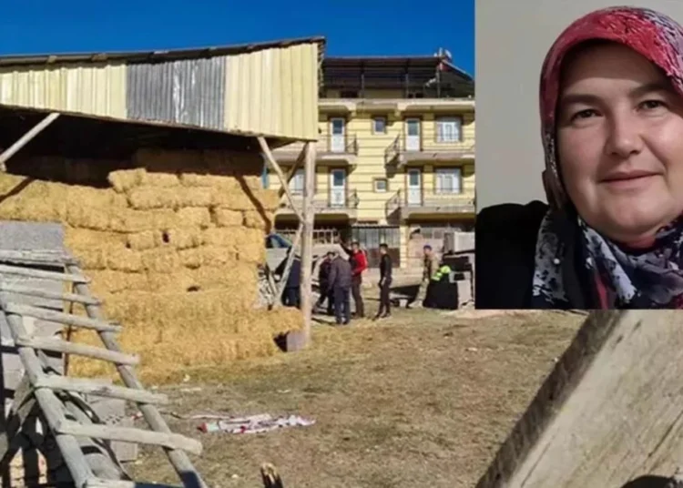Kayıp kadının cesedi samanlıkta bulundu! 18 gündür aranıyordu, 12 saat önce ölmüş