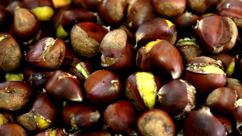 Dünyadaki üretimde 4’üncü sıradayız ama kestane fiyatı el yakıyor!