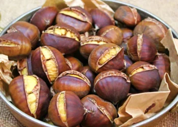 Dünyadaki üretimde 4’üncü sıradayız ama kestane fiyatı el yakıyor!