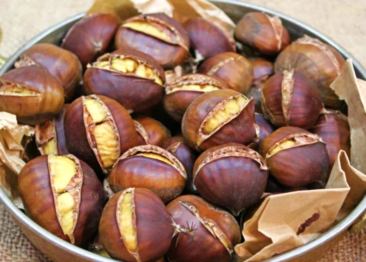 Dünyadaki üretimde 4’üncü sıradayız ama kestane fiyatı el yakıyor!