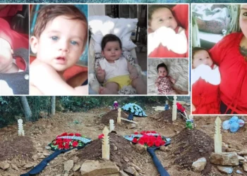 Mercan Bulut’un analiz haberi l Üzüm yemek mi, bağcıyı dövmek mi?